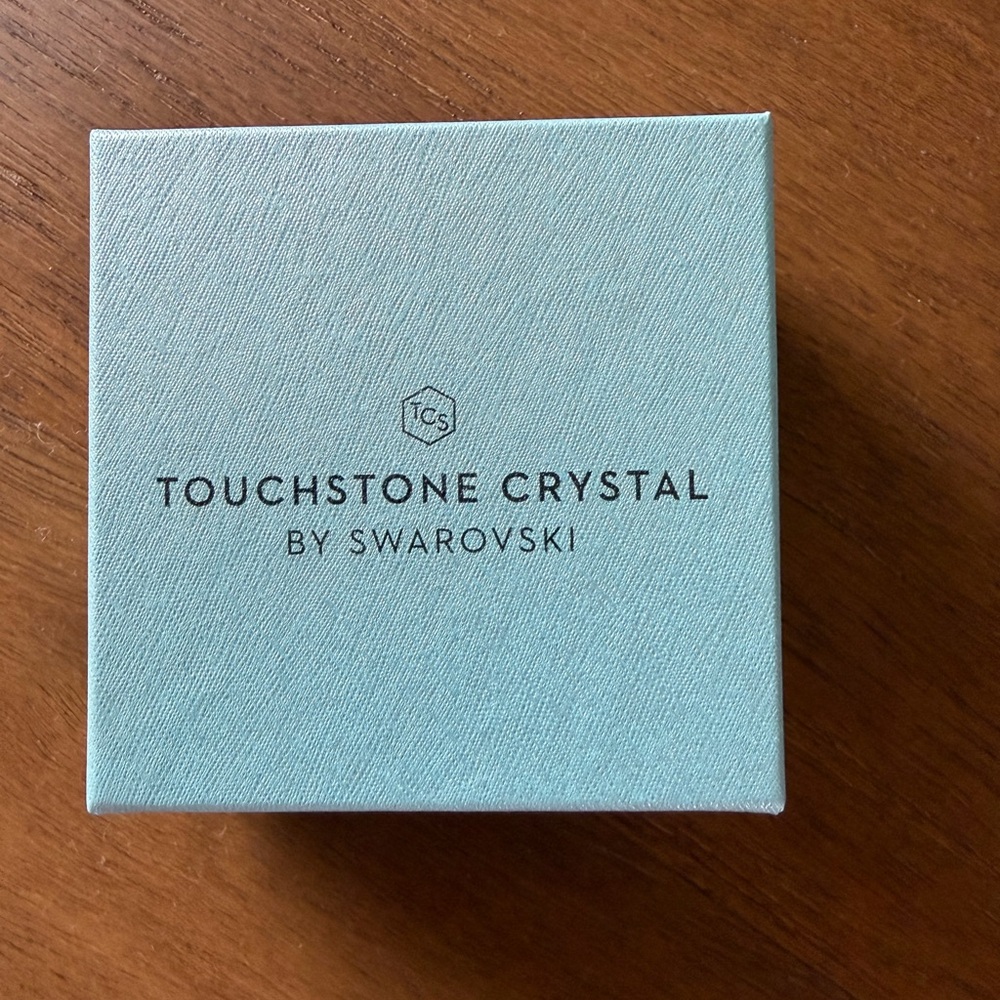 Touchstone Crystal Silver Earrings with Sparkling Accents - Picture 5 of 6
